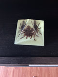 Tarantula pyramid