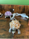 Citrine turtle