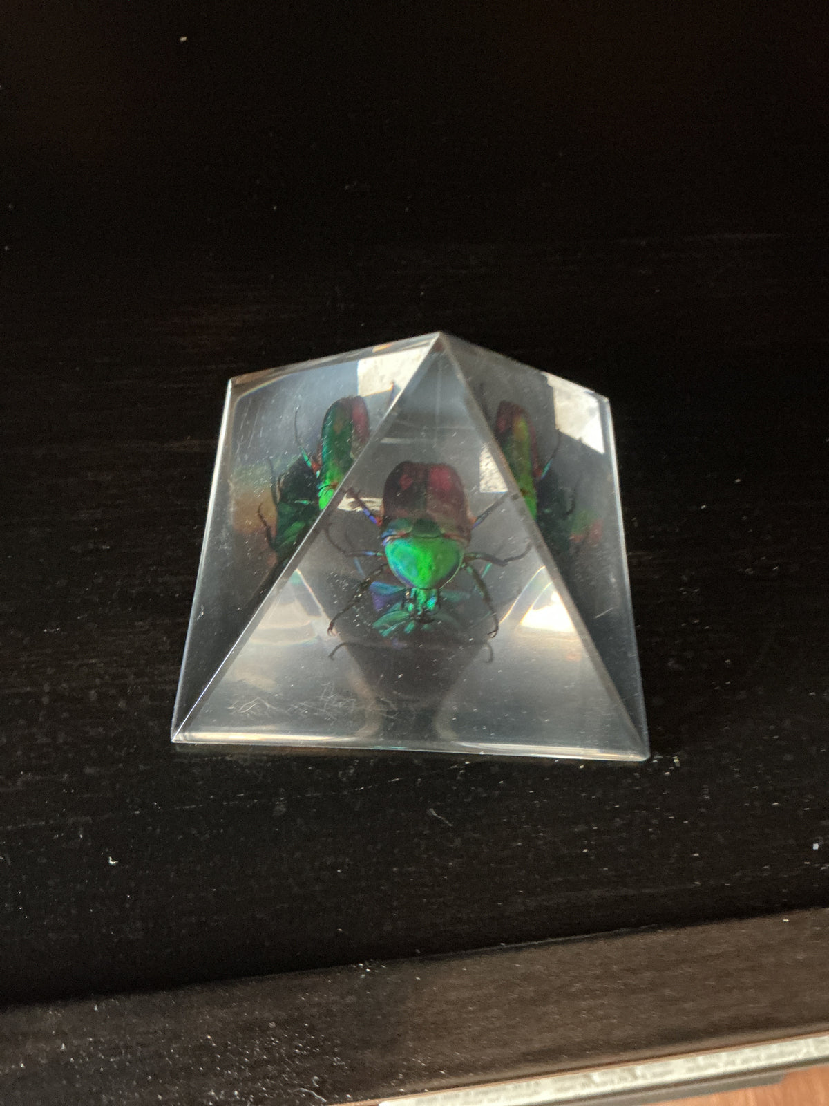 Beetle pyramid