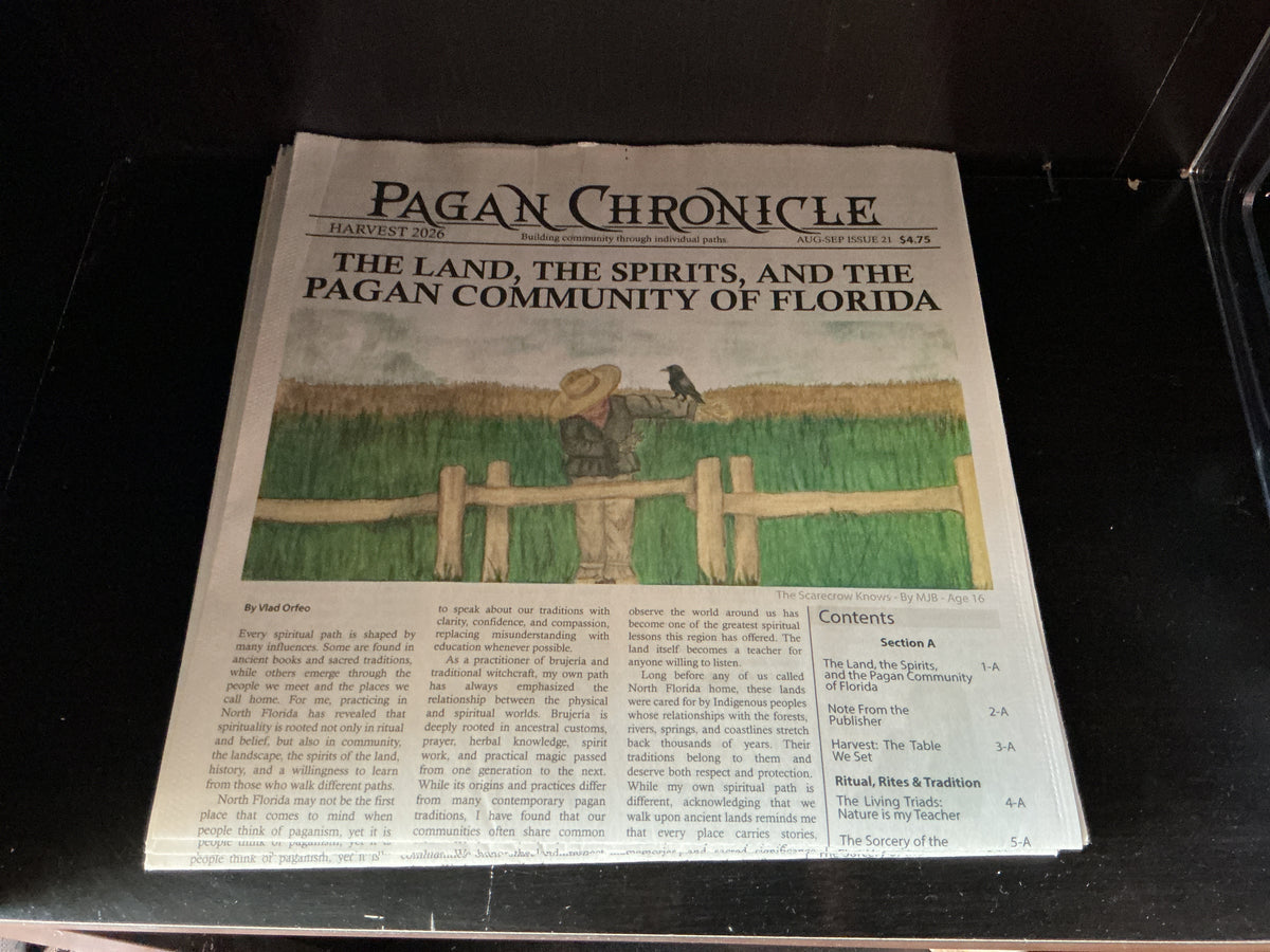 News Paper