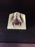 Scorpion pyramid