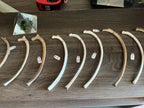 Bones