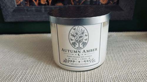 3 Wick Soy Candle